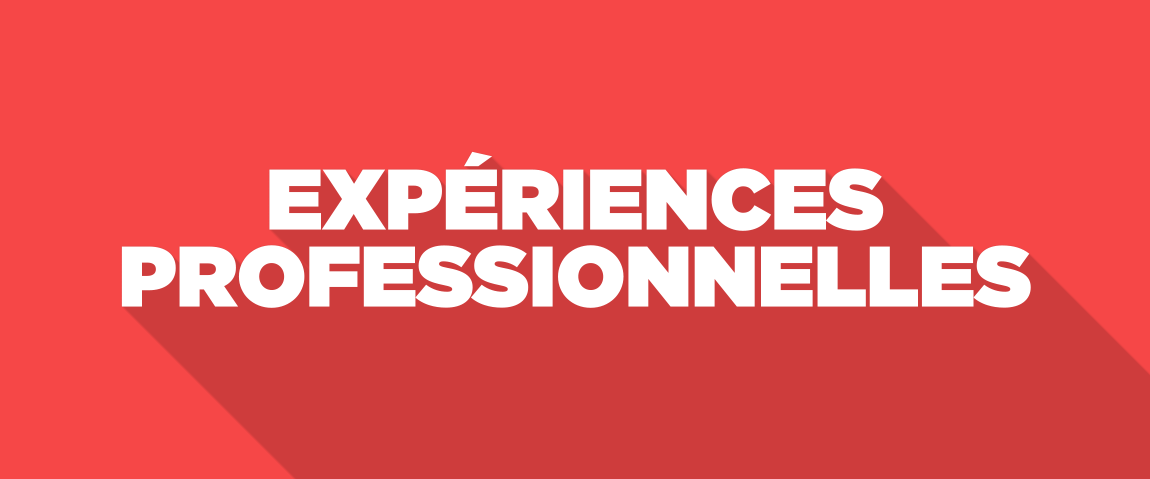 RÃ©sultat de recherche d'images pour "expÃ©riences professionnelles"